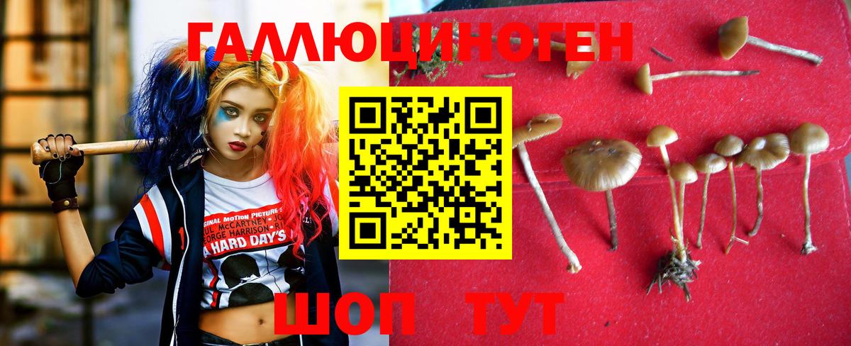 Гусев  наркошоп  Вход с VPN  Галлюциногенные грибы ЛСД 